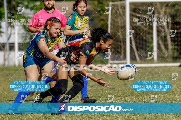 I Etapa do Paranaense de Rugby 7