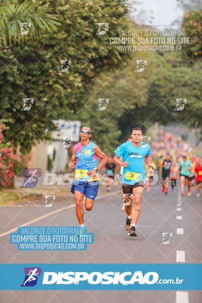 Circuito SESC de Corrida de Rua 2024 - Umuarama 