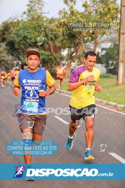 Circuito SESC de Corrida de Rua 2024 - Umuarama 