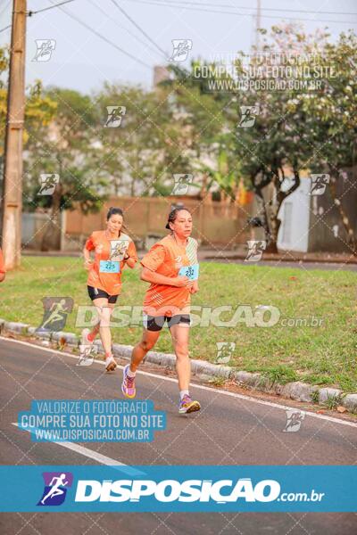 Circuito SESC de Corrida de Rua 2024 - Umuarama 