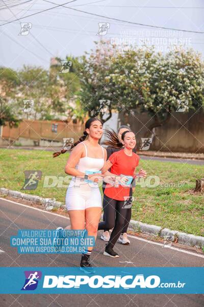 Circuito SESC de Corrida de Rua 2024 - Umuarama 