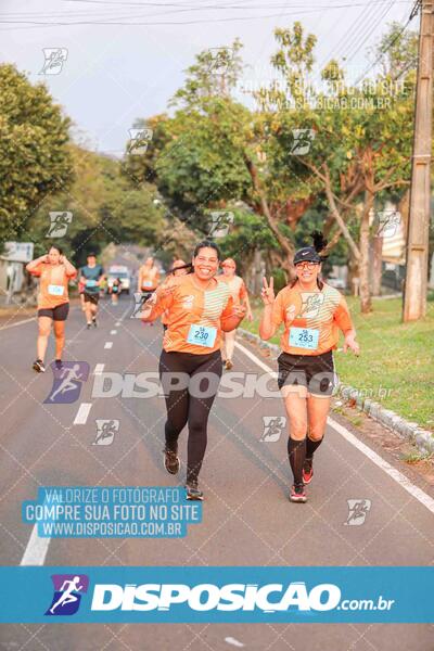 Circuito SESC de Corrida de Rua 2024 - Umuarama 