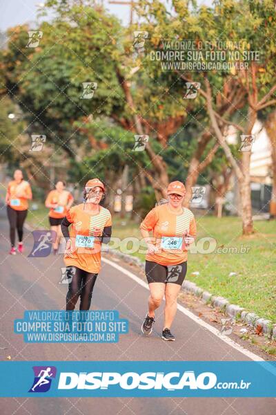 Circuito SESC de Corrida de Rua 2024 - Umuarama 