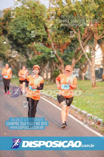 Circuito SESC de Corrida de Rua 2024 - Umuarama 