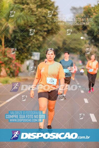 Circuito SESC de Corrida de Rua 2024 - Umuarama 