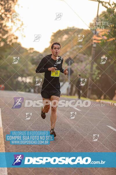 Circuito SESC de Corrida de Rua 2024 - Umuarama 