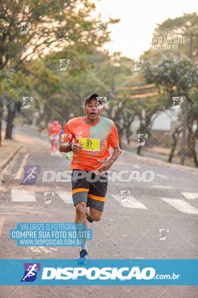 Circuito SESC de Corrida de Rua 2024 - Umuarama 