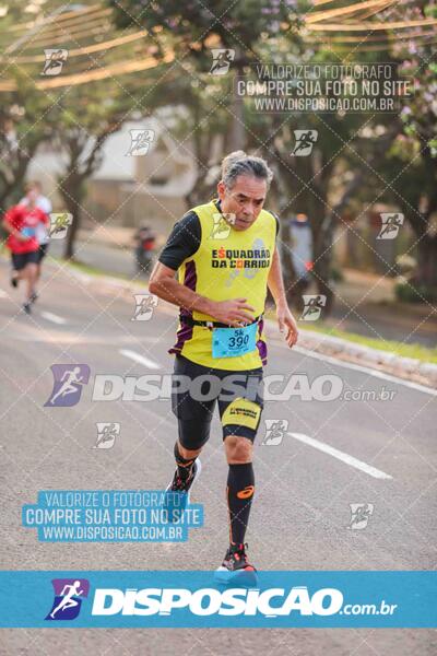 Circuito SESC de Corrida de Rua 2024 - Umuarama 