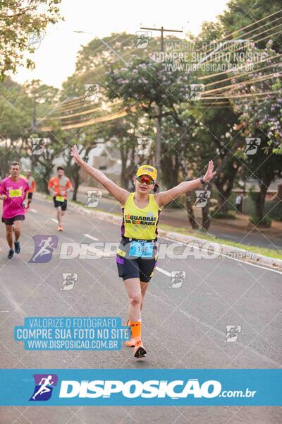 Circuito SESC de Corrida de Rua 2024 - Umuarama 