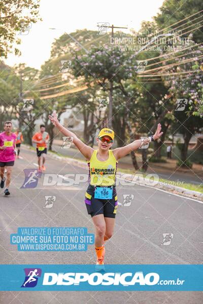 Circuito SESC de Corrida de Rua 2024 - Umuarama 