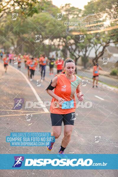 Circuito SESC de Corrida de Rua 2024 - Umuarama 