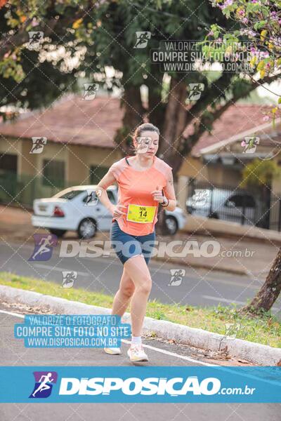 Circuito SESC de Corrida de Rua 2024 - Umuarama 