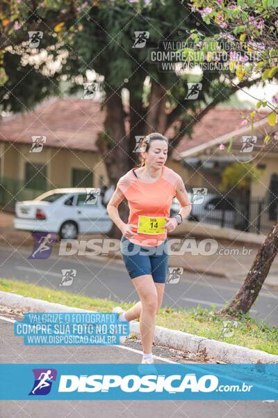 Circuito SESC de Corrida de Rua 2024 - Umuarama 