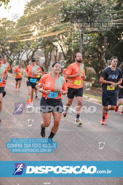 Circuito SESC de Corrida de Rua 2024 - Umuarama 