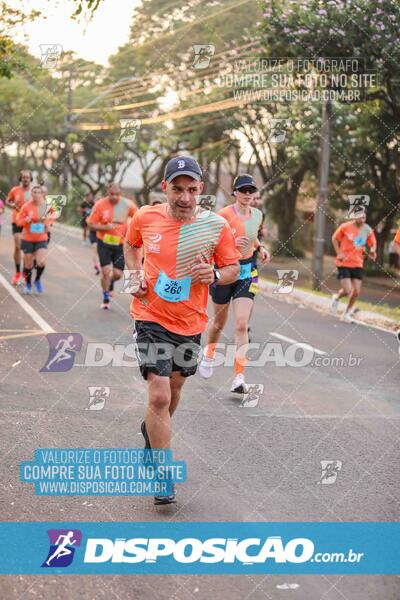 Circuito SESC de Corrida de Rua 2024 - Umuarama 