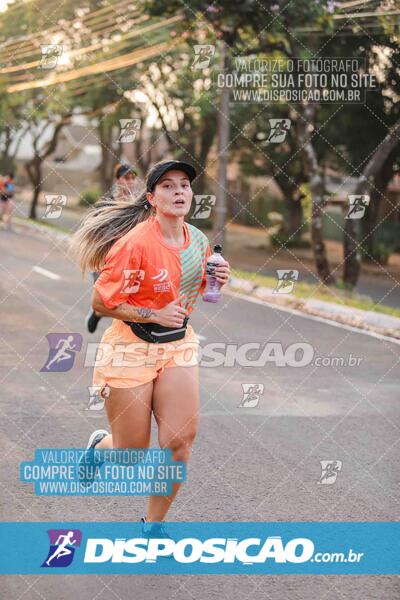 Circuito SESC de Corrida de Rua 2024 - Umuarama 