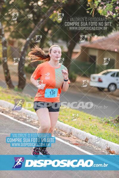 Circuito SESC de Corrida de Rua 2024 - Umuarama 