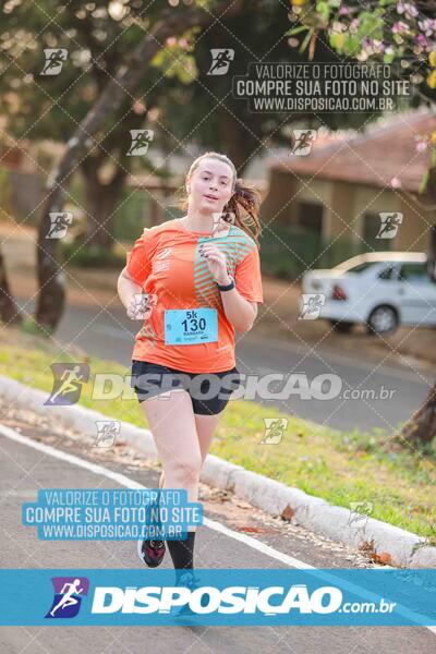 Circuito SESC de Corrida de Rua 2024 - Umuarama 