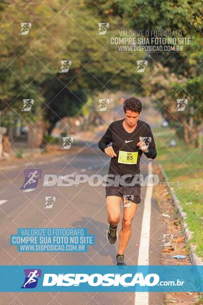 Circuito SESC de Corrida de Rua 2024 - Umuarama 