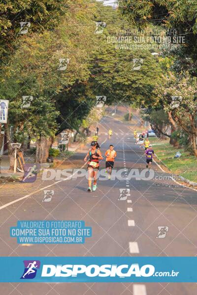 Circuito SESC de Corrida de Rua 2024 - Umuarama 