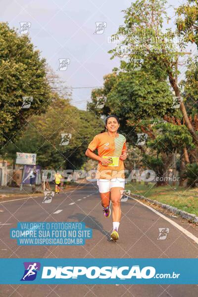 Circuito SESC de Corrida de Rua 2024 - Umuarama 