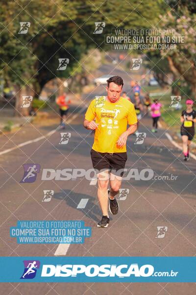 Circuito SESC de Corrida de Rua 2024 - Umuarama 