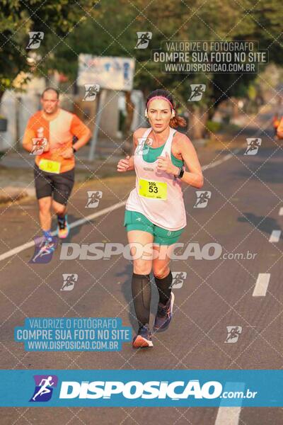 Circuito SESC de Corrida de Rua 2024 - Umuarama 