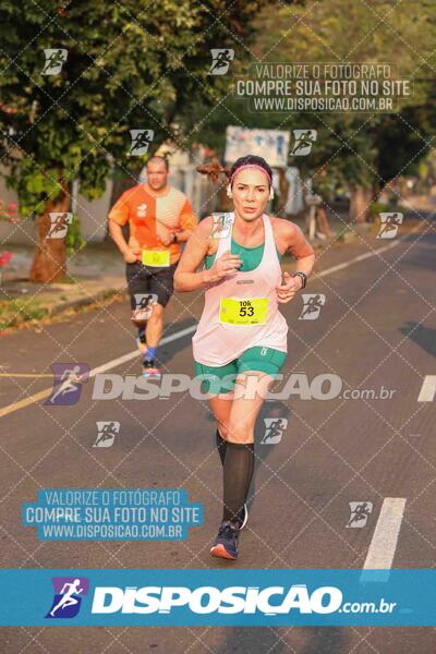 Circuito SESC de Corrida de Rua 2024 - Umuarama 