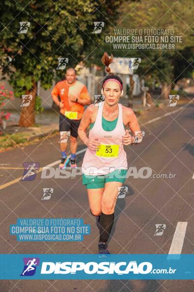 Circuito SESC de Corrida de Rua 2024 - Umuarama 