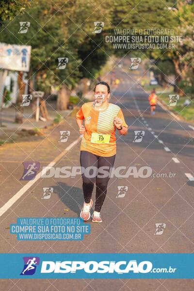 Circuito SESC de Corrida de Rua 2024 - Umuarama 