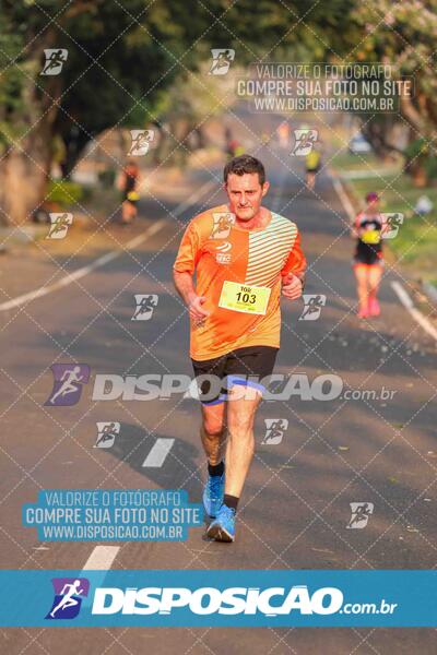 Circuito SESC de Corrida de Rua 2024 - Umuarama 