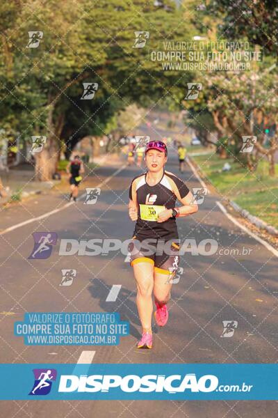 Circuito SESC de Corrida de Rua 2024 - Umuarama 