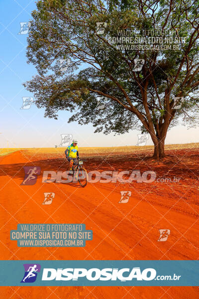 Desafio MTB Primeiro de Maio 2024