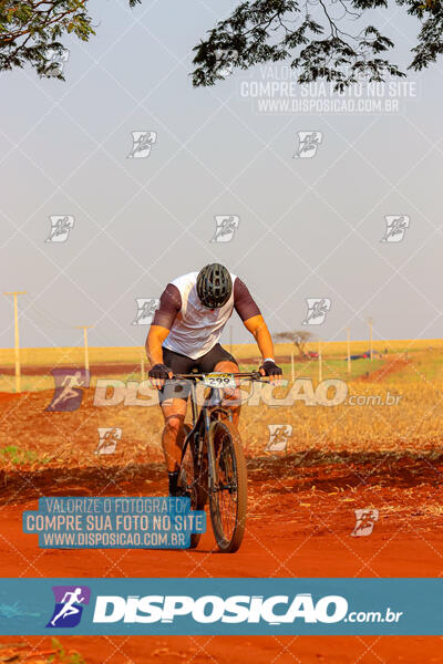 Desafio MTB Primeiro de Maio 2024