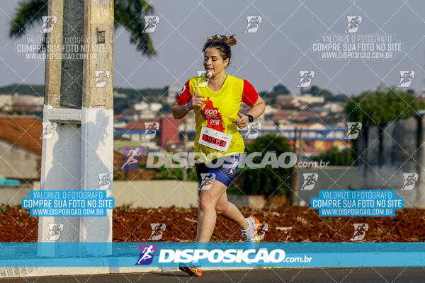 Eco Corrida 90k Londrina