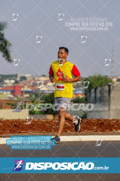 Eco Corrida 90k Londrina