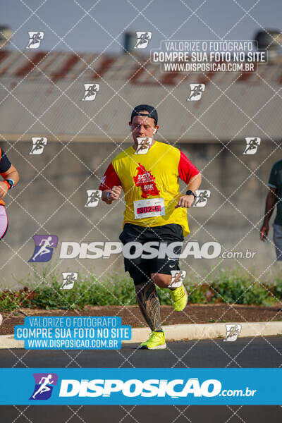 Eco Corrida 90k Londrina