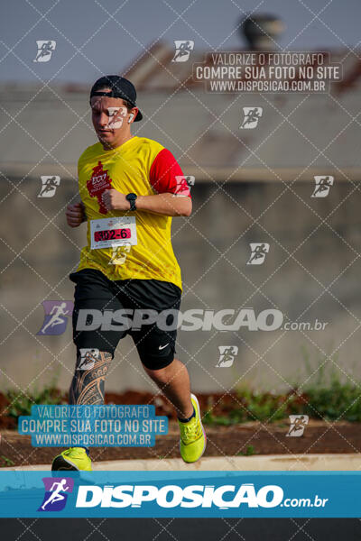 Eco Corrida 90k Londrina