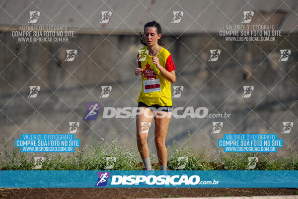 Eco Corrida 90k Londrina