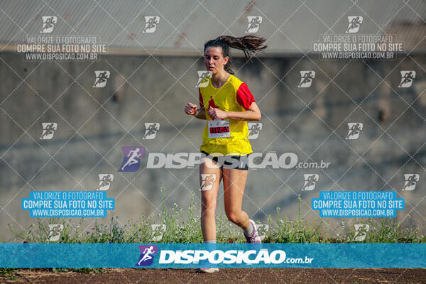 Eco Corrida 90k Londrina