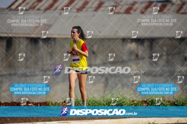 Eco Corrida 90k Londrina