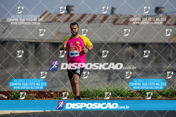 Eco Corrida 90k Londrina