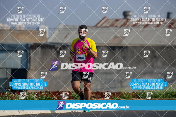 Eco Corrida 90k Londrina