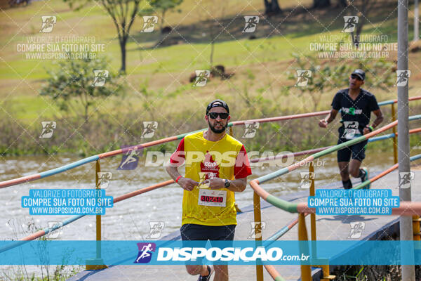 Eco Corrida 90k Londrina