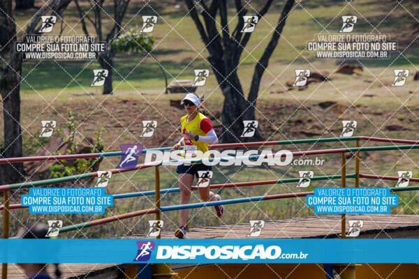 Eco Corrida 90k Londrina