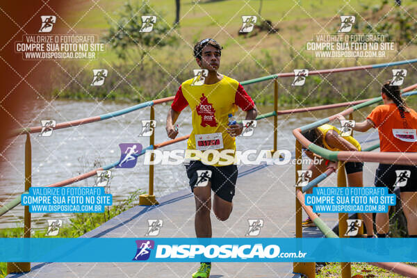 Eco Corrida 90k Londrina