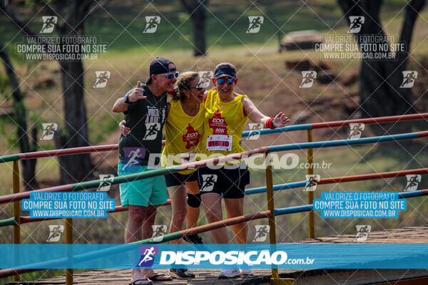 Eco Corrida 90k Londrina