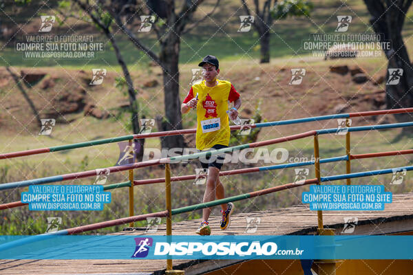 Eco Corrida 90k Londrina