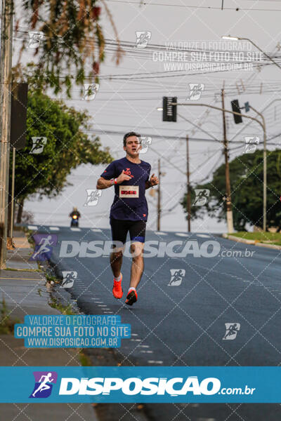 Eco Corrida 90k Londrina