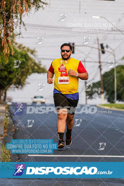 Eco Corrida 90k Londrina